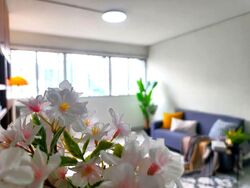 Blk 103 Ah Hood Gardens (Toa Payoh), HDB 5 Rooms #545003581